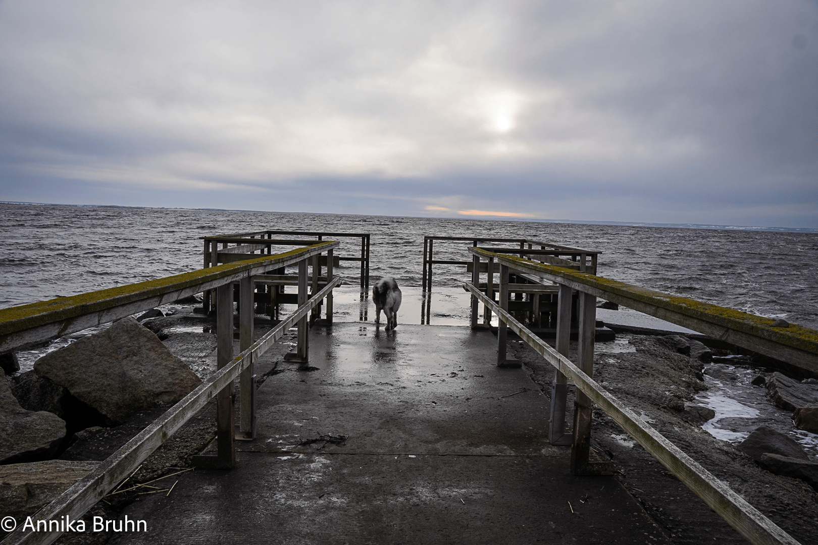 Q auf dem Steg Jansa brygga